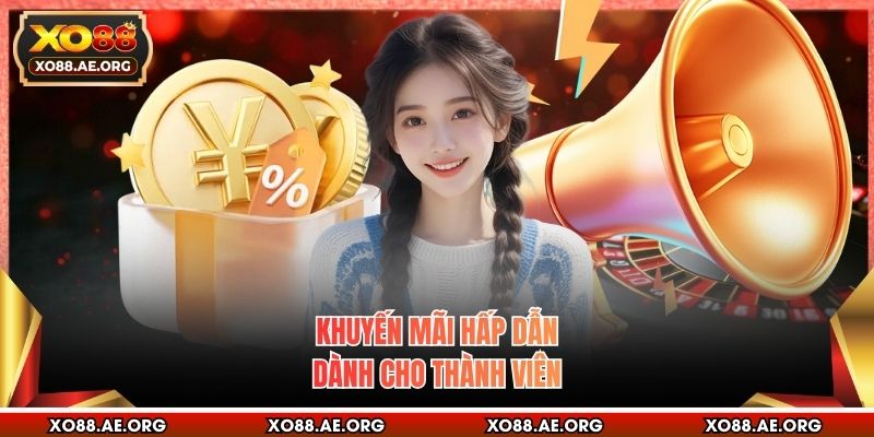 Khuyến mãi hấp dẫn dành cho thành viên